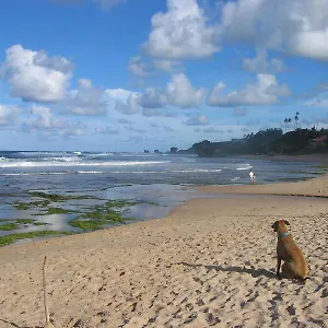 ** Inn Round House Barbados
